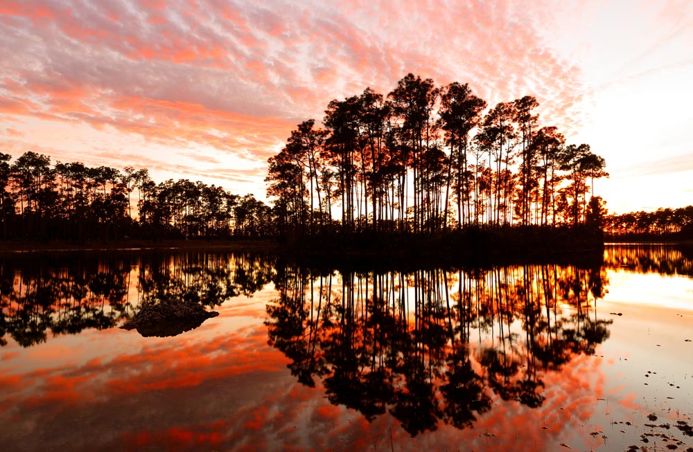 Beautiful photo of Everglades National Park at sunset