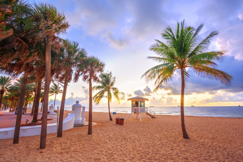 A sunrise or sunset view of Fort Lauderdale Beach, with palm trees and a lifeguard tower on the sand and the ocean in the background.