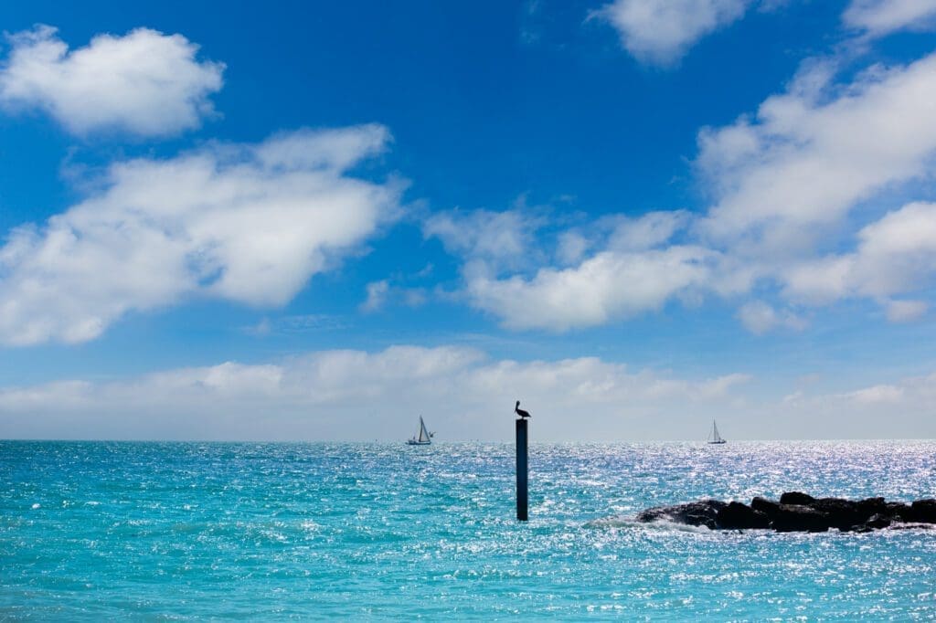 A view of the ocean at Fort Zachary Taylor State Park beach, with a bird on a piling, sailboats, and a rock jetty under a blue sky with clouds.