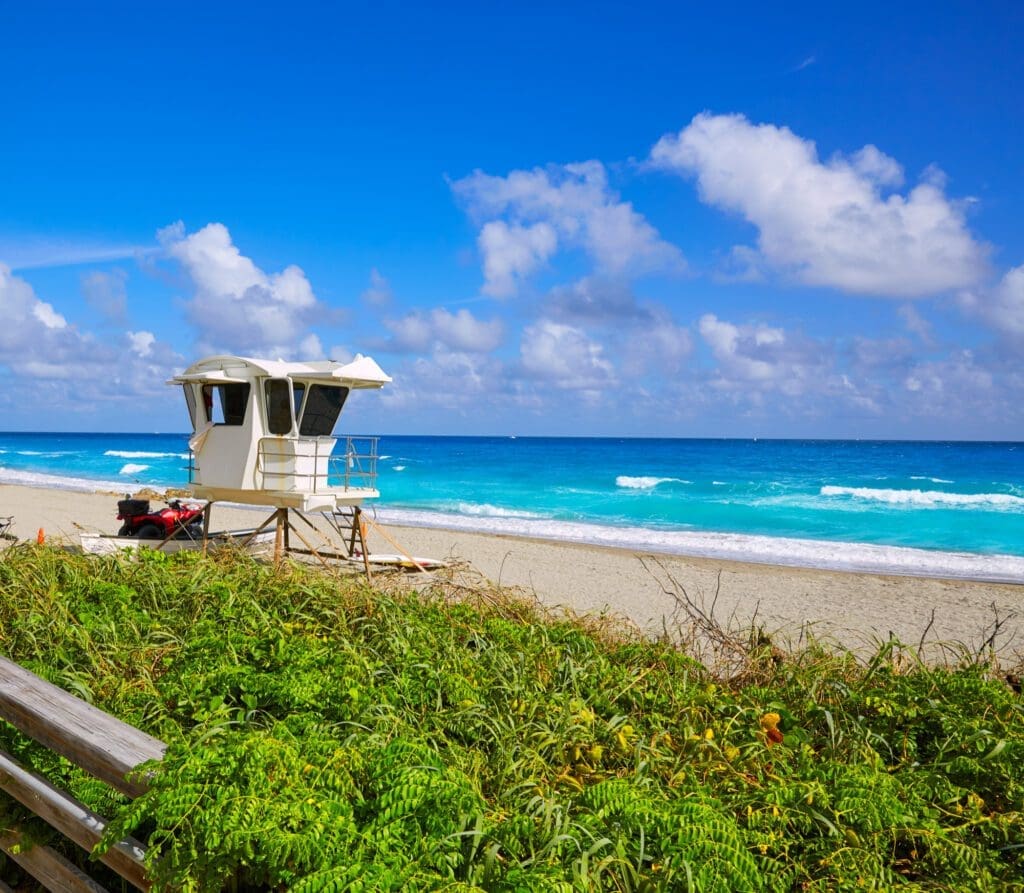 A white lifeguard tower stands on a sandy beach, with a patch of green vegetation in the foreground and a turquoise ocean in the background.