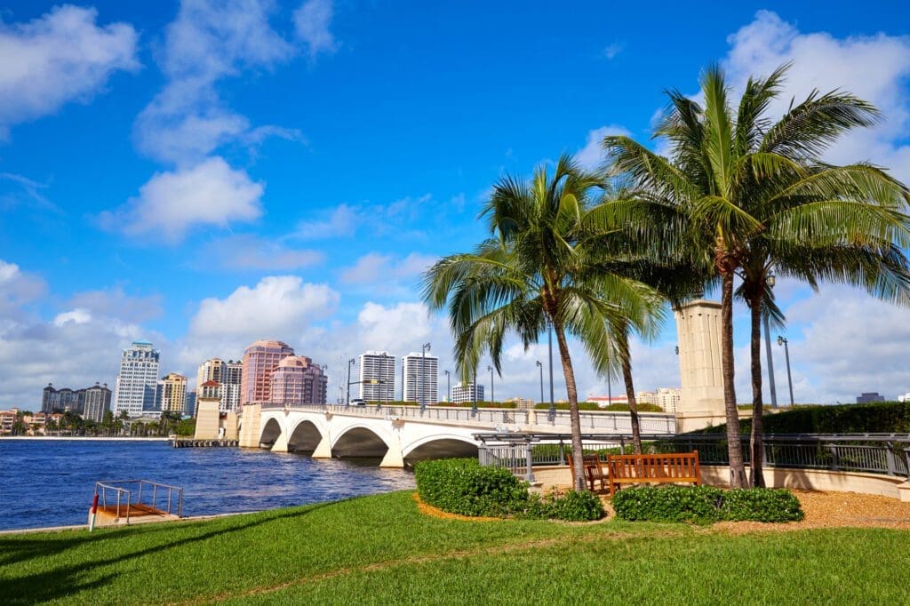 The Royal Park Bridge and Palm Beach skyline are seen from a grassy park with palm trees under a blue sky.