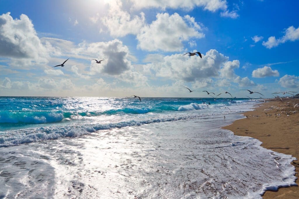 Waves crash on Singer Island beach, with seagulls flying over the turquoise ocean and a blue sky with dramatic clouds.