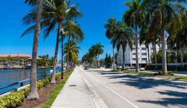 A view of the palm-lined avenue along the canal in Miami Beach