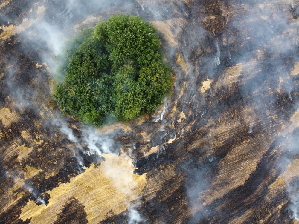 Aerial view of burning field with smoke in farm land