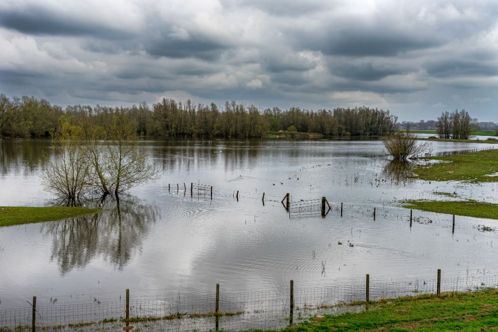 Severe rain flood in Europe