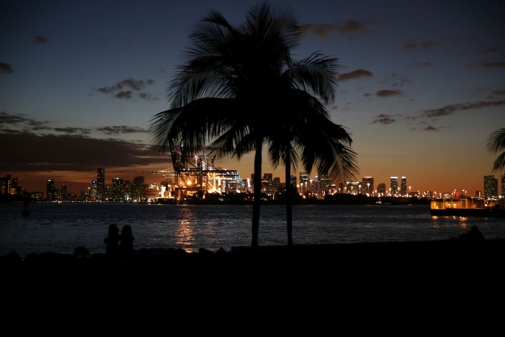 Silhouette of palm trees and people by the sea against the illuminated Miami skyline and port at dusk.