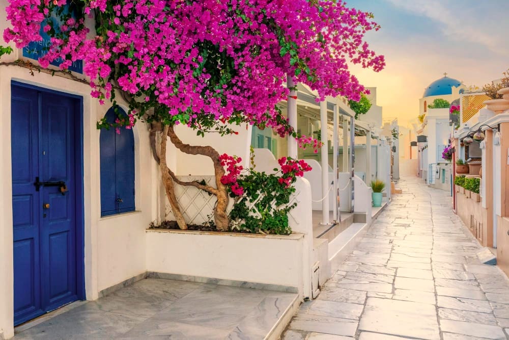 A charming street view in Oia, Santorini, Greece, with whitewashed buildings, a vibrant pink bougainvillea, and blue doors, leading to a blue-domed church in the distance under a morning sky.