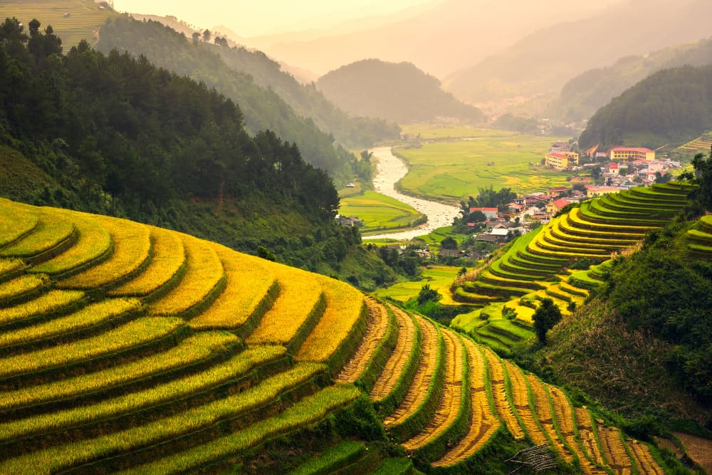 A panoramic landscape of golden and green terraced rice paddy fields cascading down mountains, with a winding river and village in the valley, in Northern Vietnam.