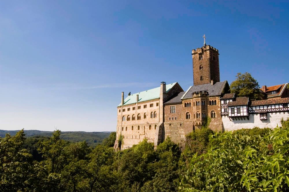 The historic Wartburg Castle, a complex of stone buildings with varying rooflines and a prominent square tower, perched on a wooded hill under a clear blue sky, overlooking a vast forest.