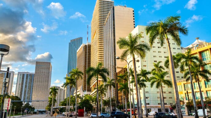 A wide view of downtown Miami, with tall skyscrapers and palm trees lining the wide, multi-lane Biscayne Boulevard on a sunny day.