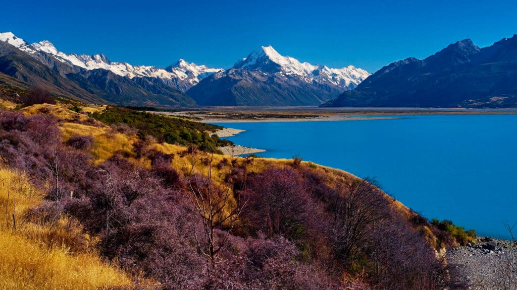 Dramatic landscape of snow-capped Aoraki / Mount Cook towering over the vibrant blue waters of Lake Pukaki and colorful scrubland.