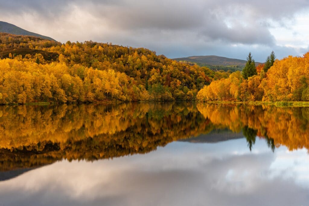 Golden and yellow autumn trees lining the shores of a calm loch in the Scottish Highlands, perfectly reflected in the water under a cloudy sky.