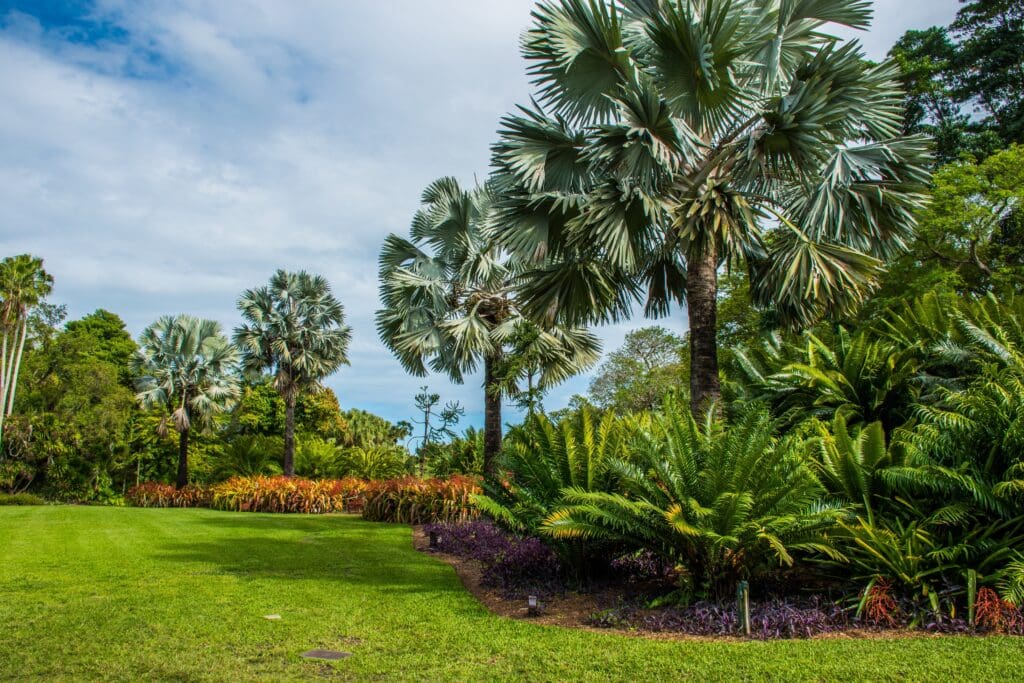 A landscaped lawn at Montgomery Botanical Center with large fan palms and tropical plants.