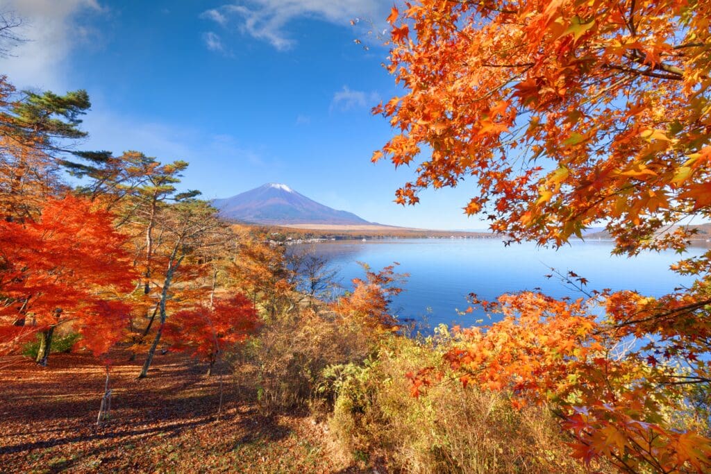 Mount Fuji, with a snow-capped peak, seen across the blue Yamanaka Lake, framed by trees with brilliant red and orange autumn leaves.