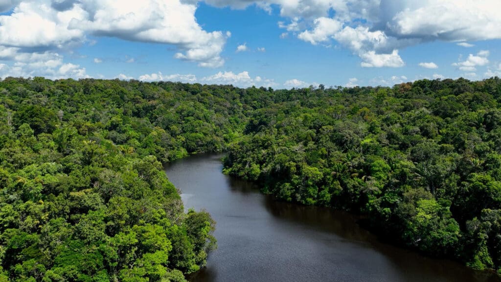 Aerial view of a dark river winding through an immense, dense, bright green tropical rainforest under a blue sky with scattered white clouds.