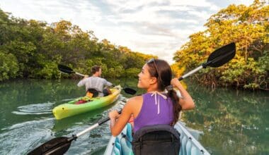 Tourists kayaking on the river of Islamorada