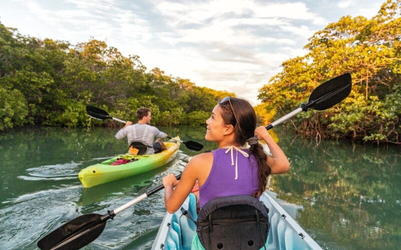 Tourists kayaking on the river of Islamorada