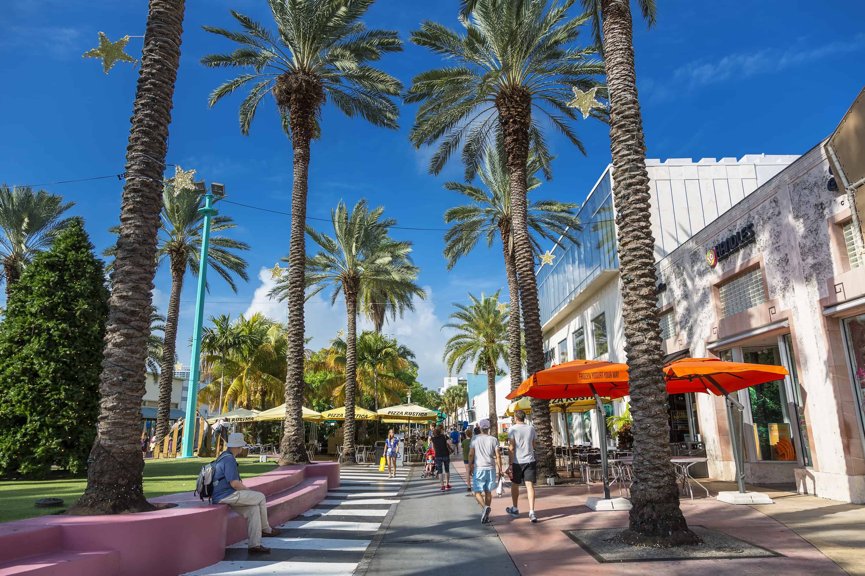 Lincoln Road Mall palm trees on a sunny day