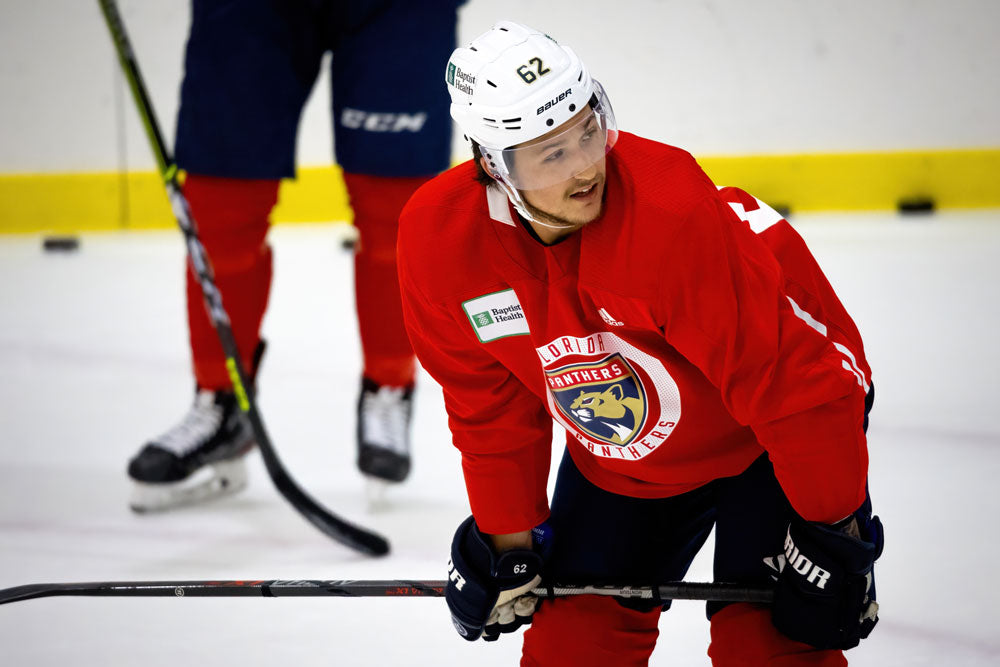 The Florida Panthers - NHL