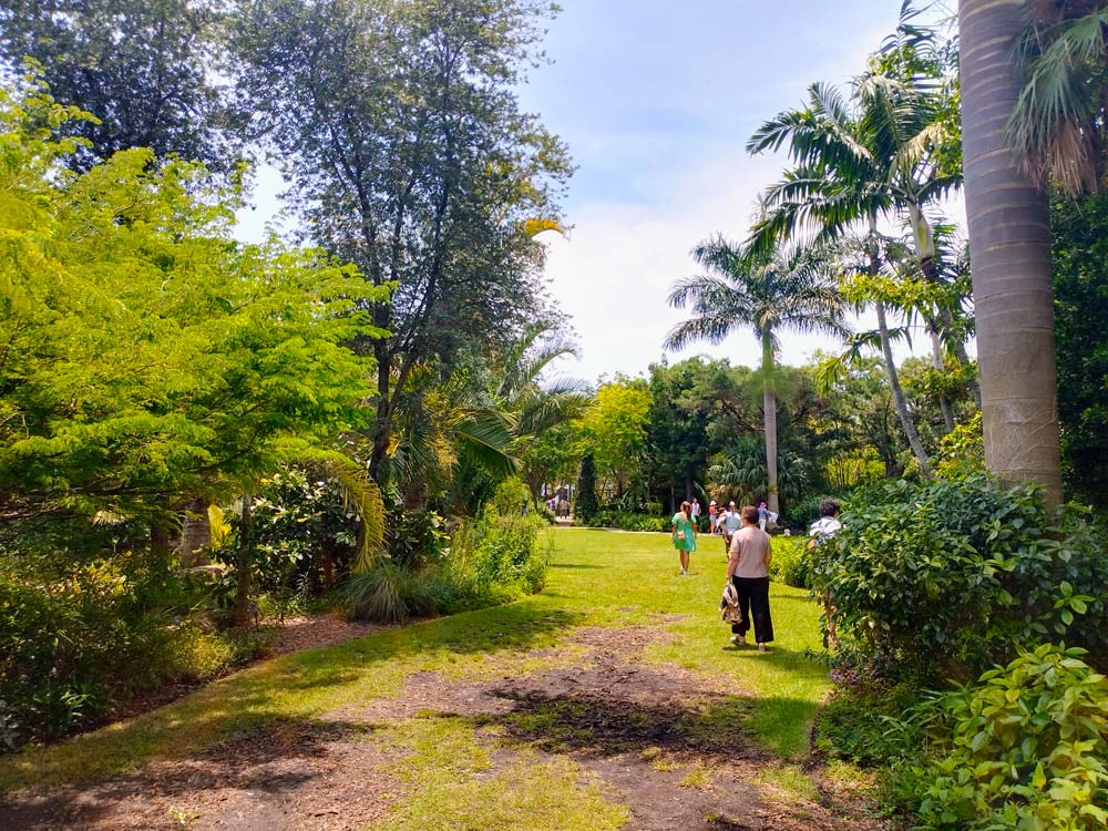 The Garden is an oasis of calm in the heart of liveliness
