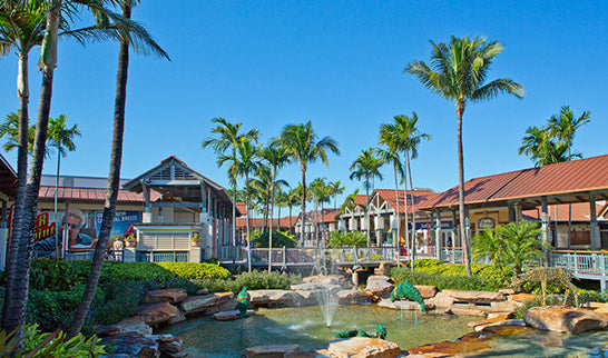 The Falls Mall